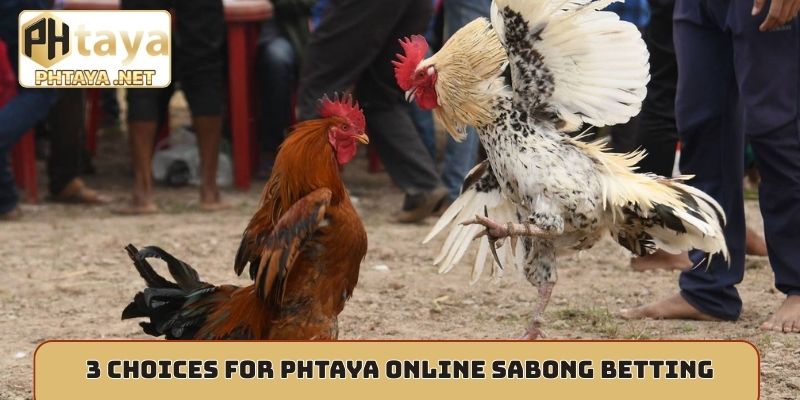 3 choices for Phtaya online Sabong betting