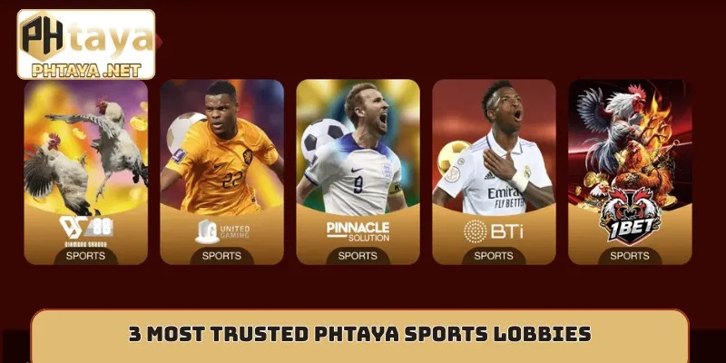 3 most trusted Phtaya sports lobbies