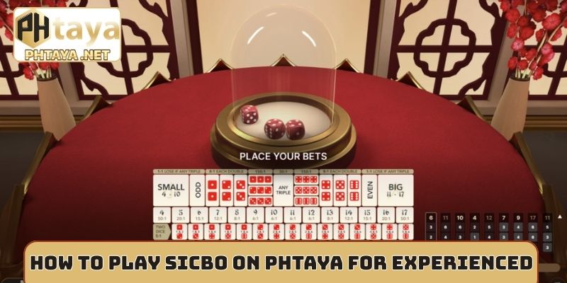 How to play Sicbo on Phtaya for experienced players