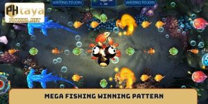 Mega fishing winning pattern
