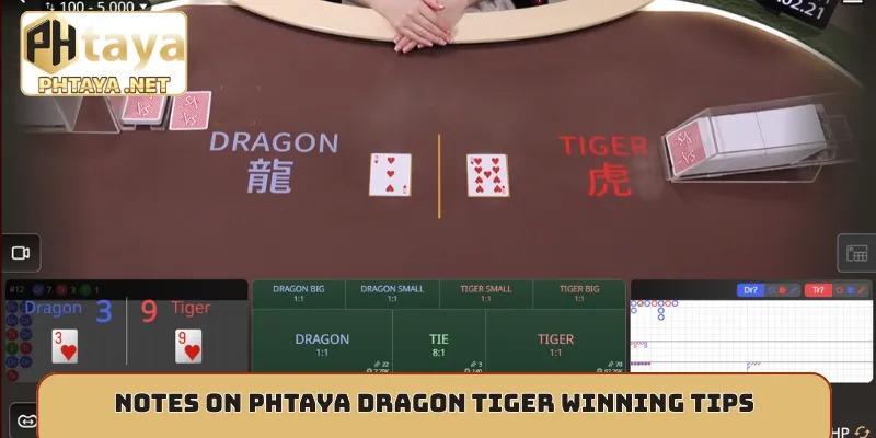Notes on Phtaya Dragon Tiger winning tips