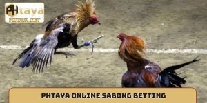 Phtaya online Sabong betting