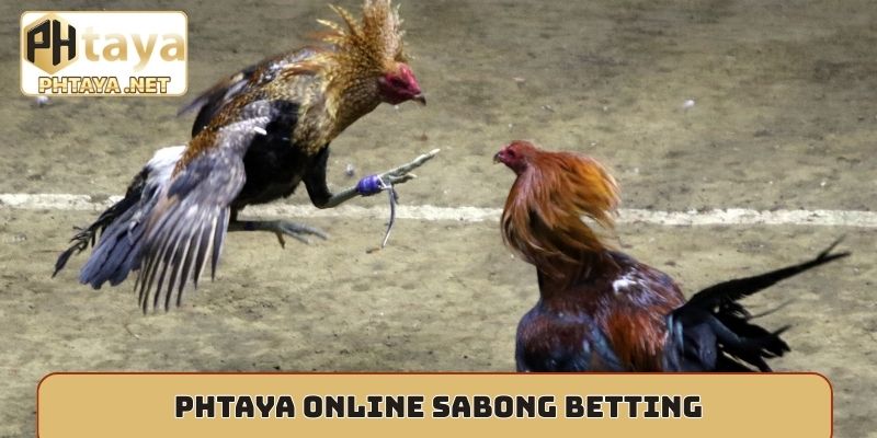 Phtaya online Sabong betting