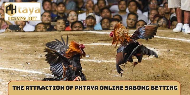 The attraction of Phtaya online Sabong betting