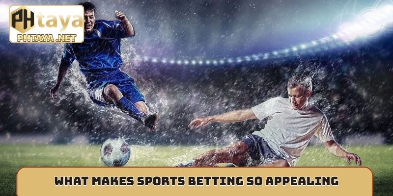 What makes sports betting so appealing?