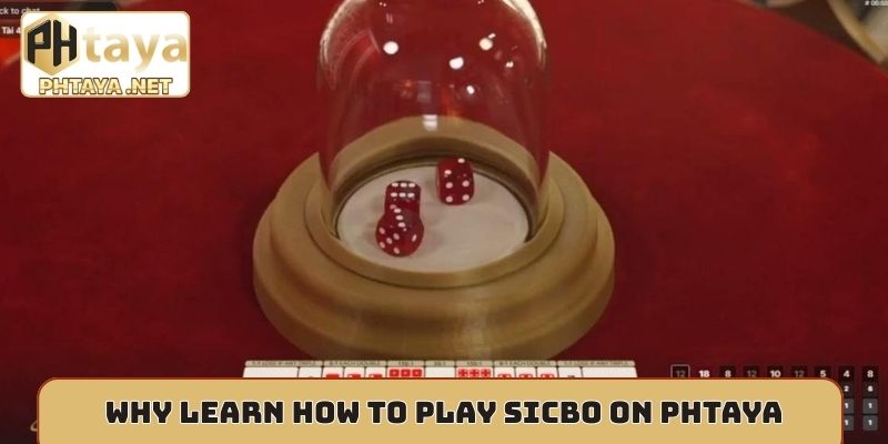 Why learn how to play Sicbo on Phtaya?