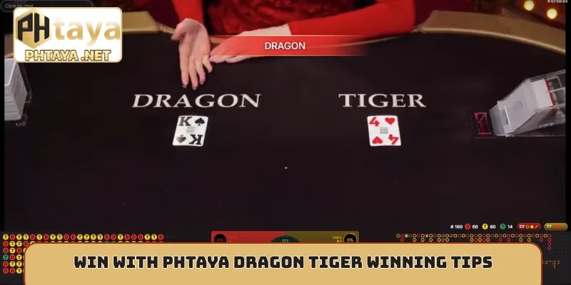 Win with Phtaya Dragon Tiger winning tips